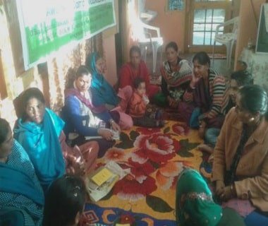 Greenberry Foundation