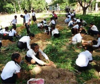 Greenberry Foundation