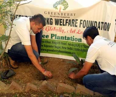 Greenberry Foundation