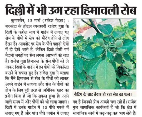 Greenberry Foundation