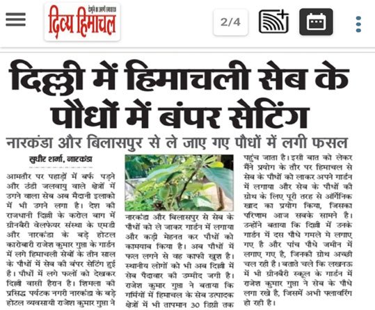 Greenberry Foundation