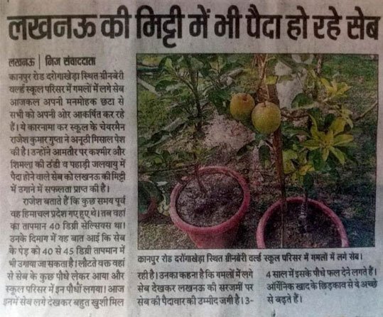 Greenberry Foundation