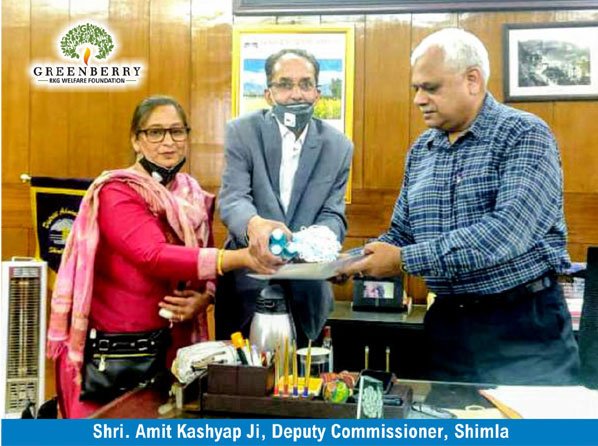 Greenberry Foundation