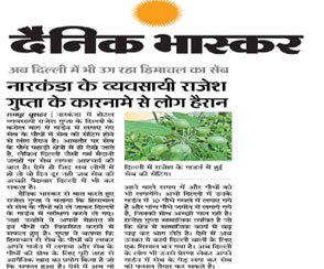 Greenberry Foundation